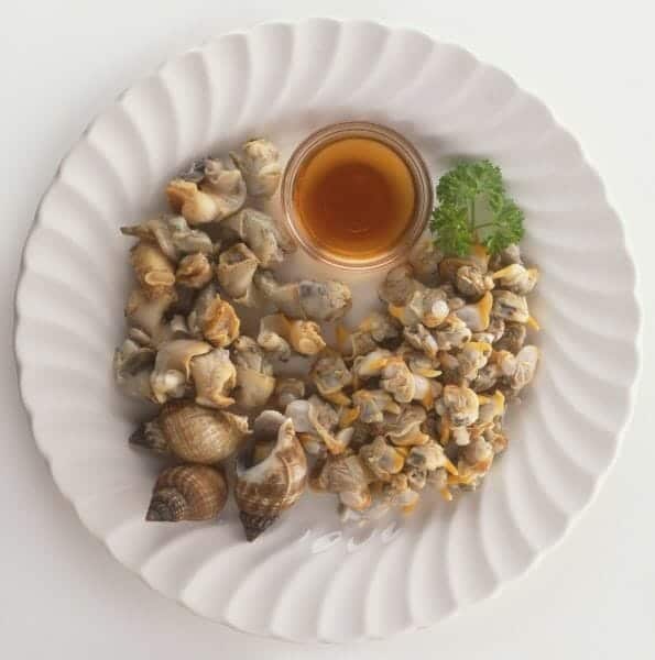 Whelks - Catch It and Cook It - Grandads Cookbook