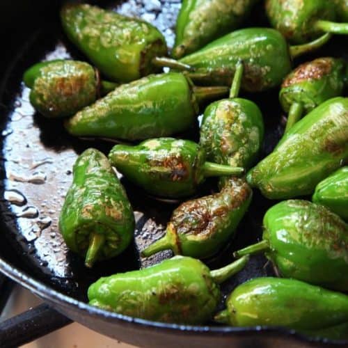 Pimientos de Padron