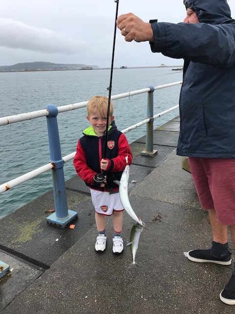 My grandson caught some mackerel
