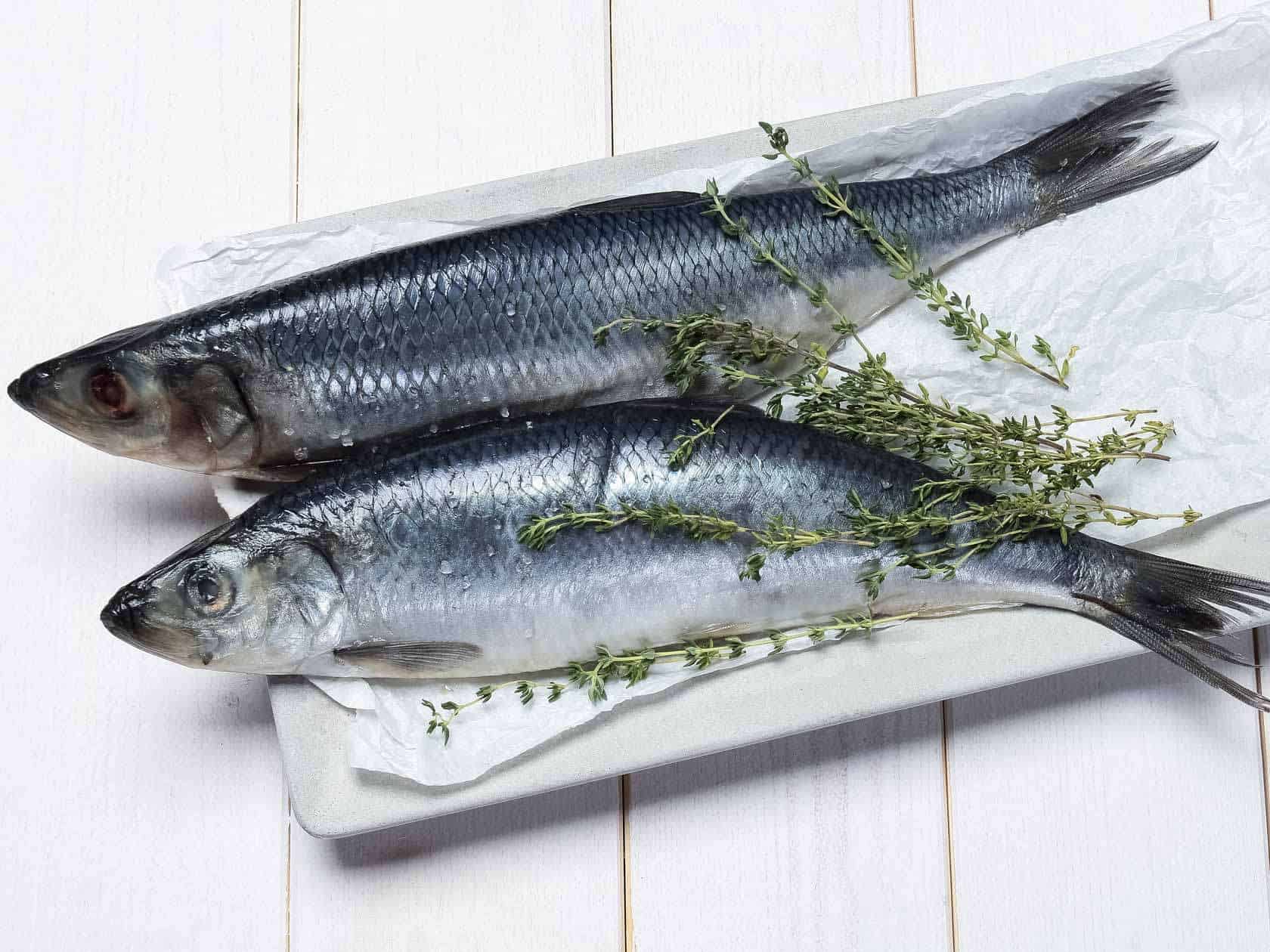 Herring Catch It and Cook It Grandads Cookbook