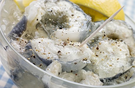 jellied conger eel