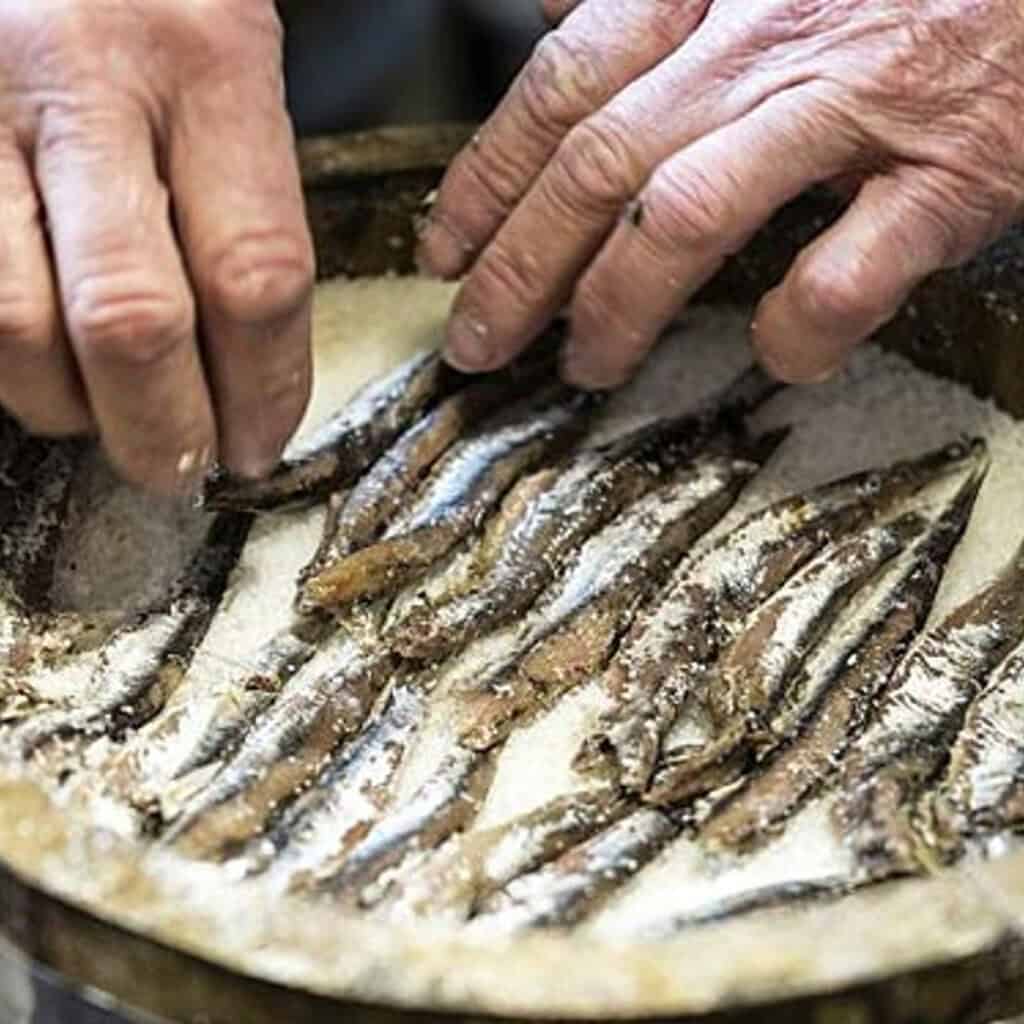 anchovies being laid out in salt within a wooden barrel