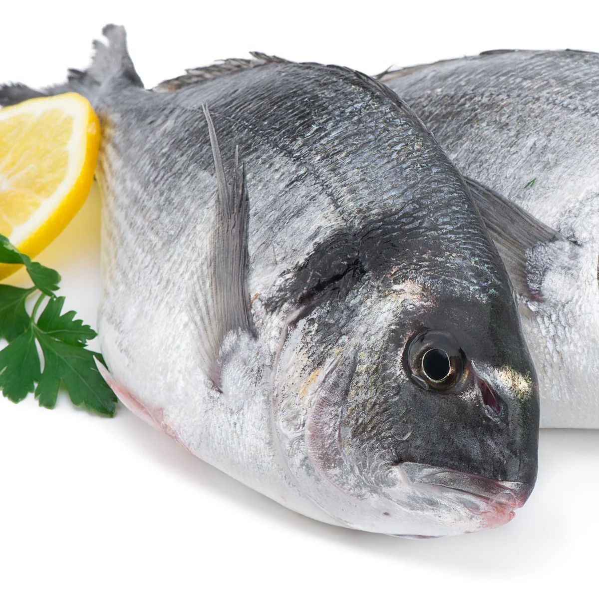 whole sea bream uncooked