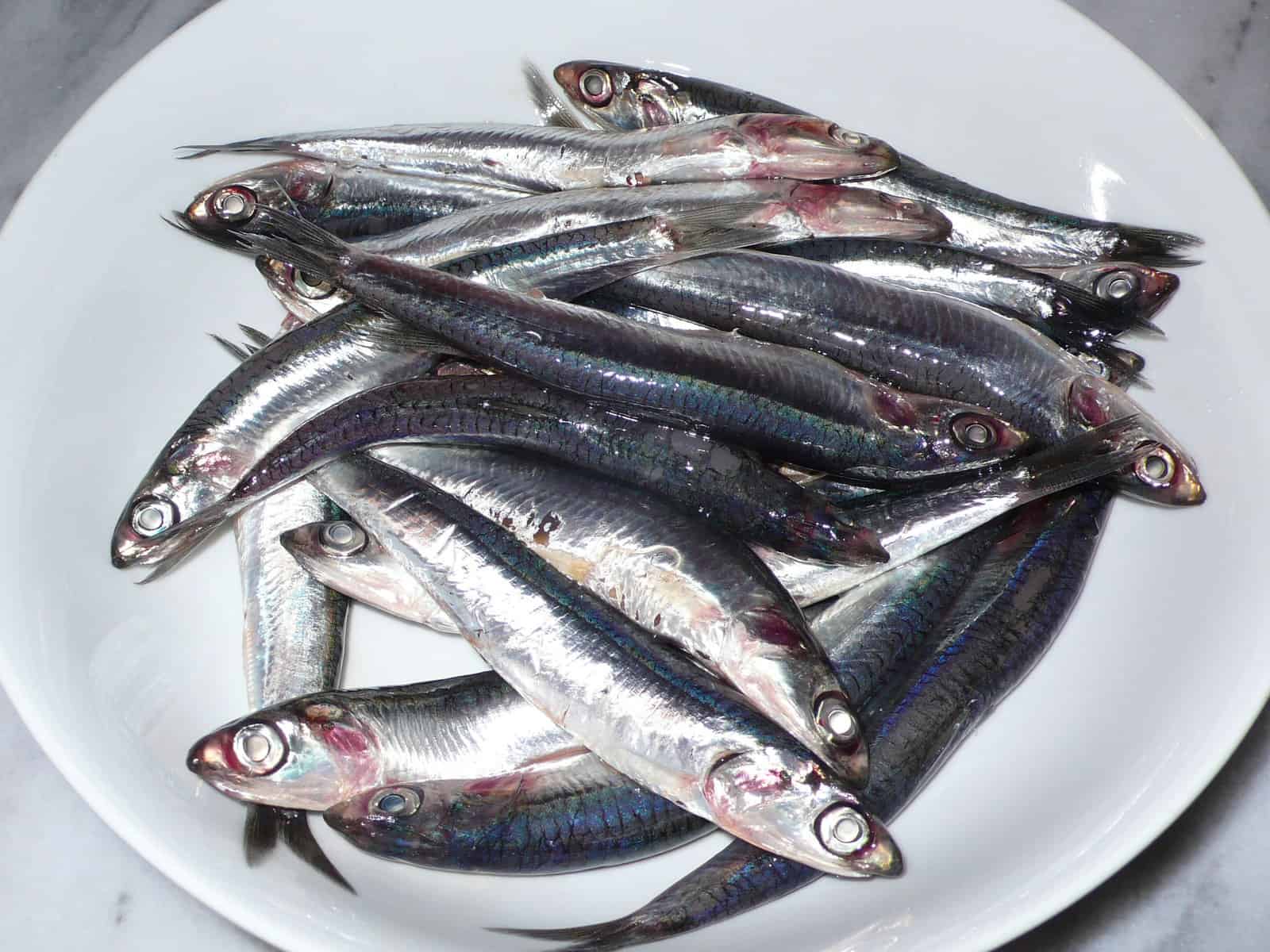 fresh anchovies on a white plate